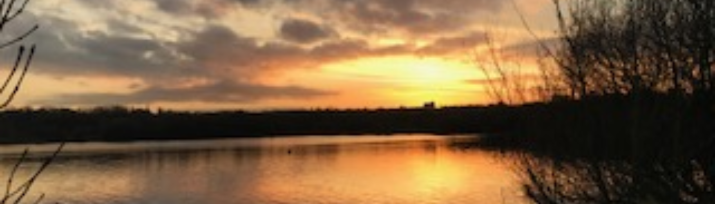 Profile banner image for Nigel_Aldridge