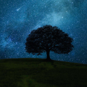 Profile avatar image for Hrithik