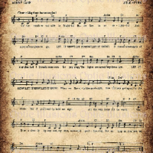 Profile avatar image for CanopyFeathered