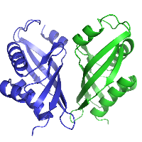 Profile avatar image for MollyHooper