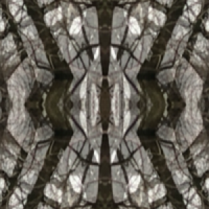 Profile avatar image for Howe_wicked