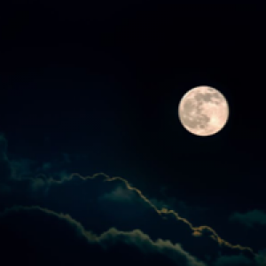 Profile avatar image for CocoRed