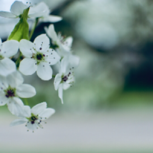 Profile avatar image for budho