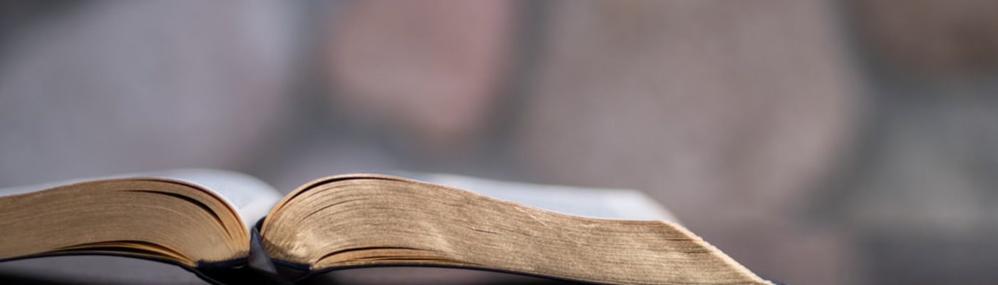 Profile banner image for Aguilardustin