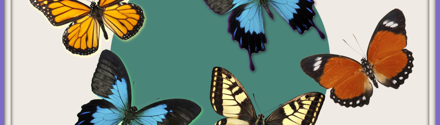 Profile banner image for heidibeth