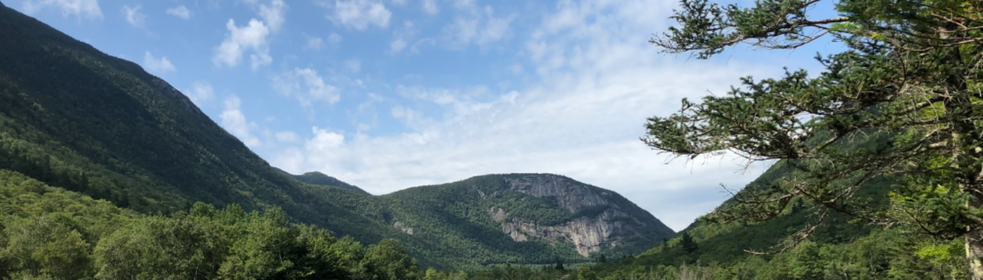 Profile banner image for RockDoctor18