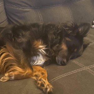 Profile avatar image for RockDoctor18