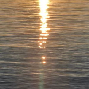 Profile avatar image for yanarenae