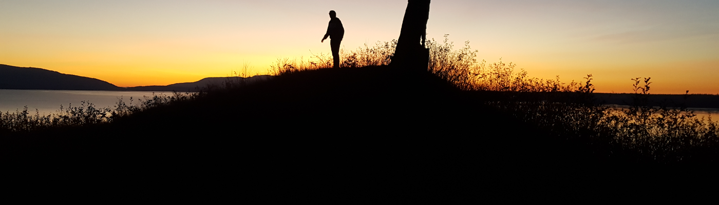 Profile banner image for RRacoon