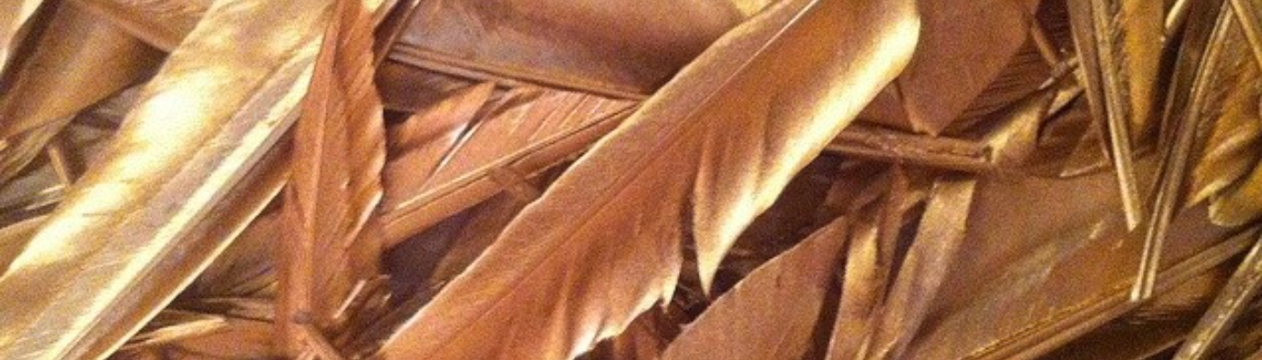 Profile banner image for swan