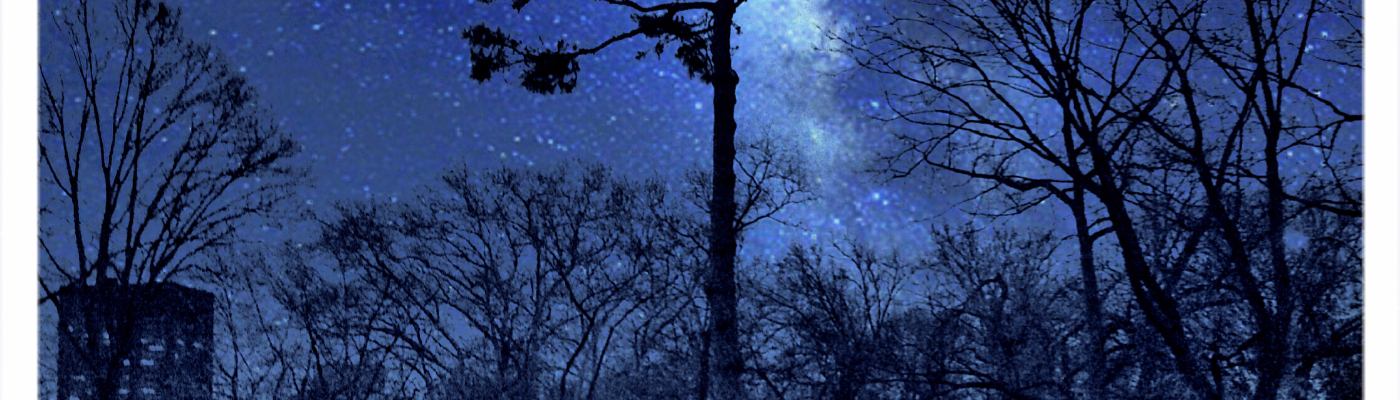 Profile banner image for DC_Ferreira