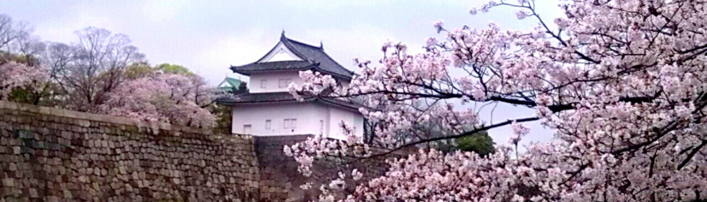 Profile banner image for JH_Foliage