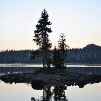 Profile avatar image for publishorbust