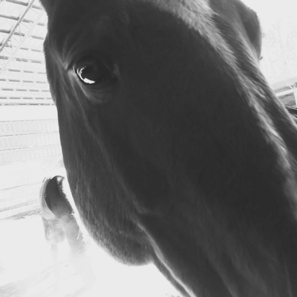 Profile avatar image for unicornsquash