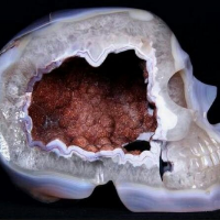 Profile avatar image for freeversequeen