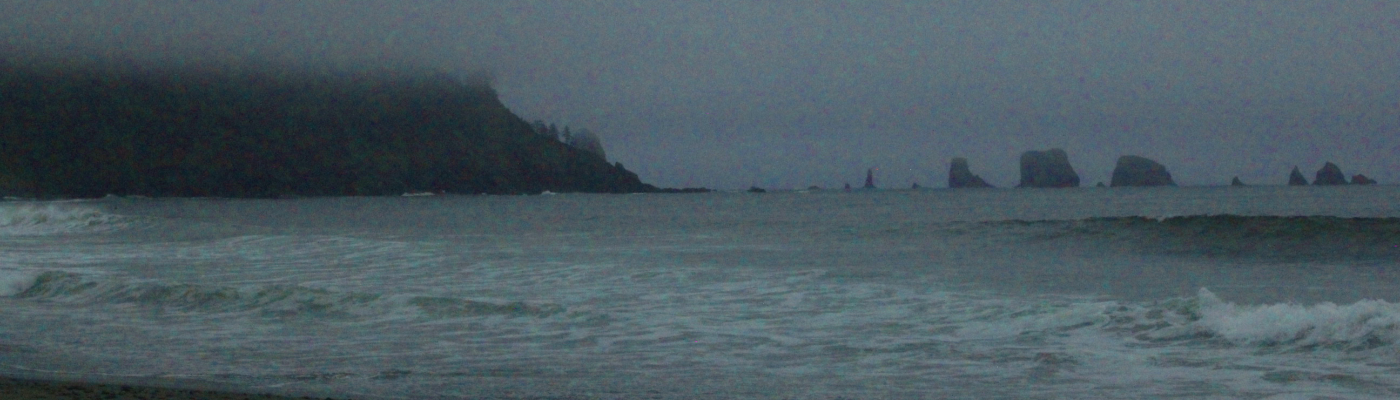 Profile banner image for wscalz