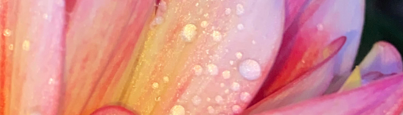 Profile banner image for HWilson