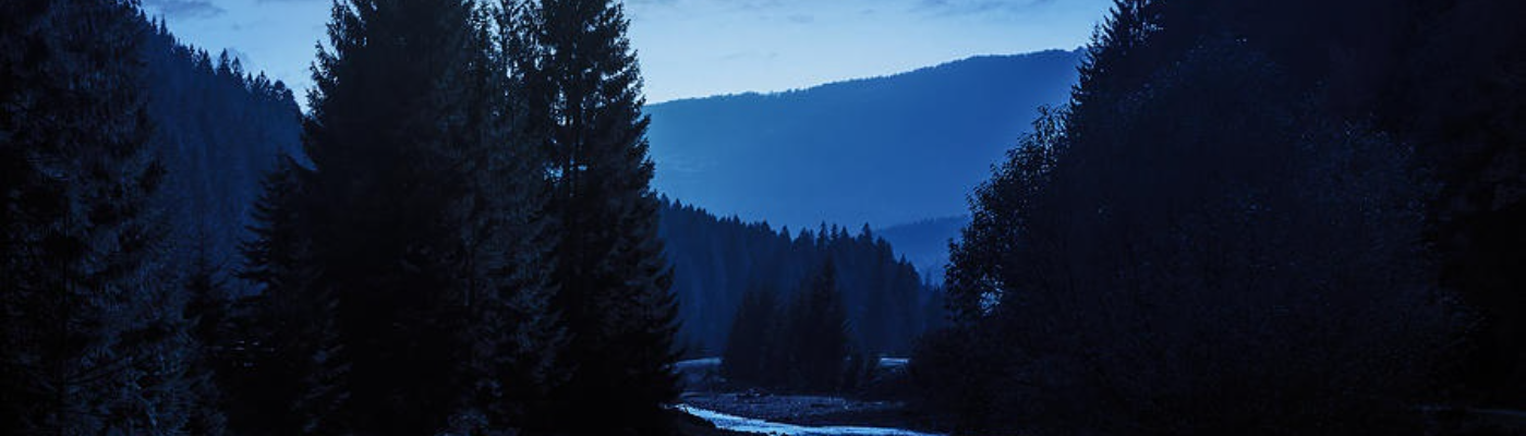 Profile banner image for DeniseParton