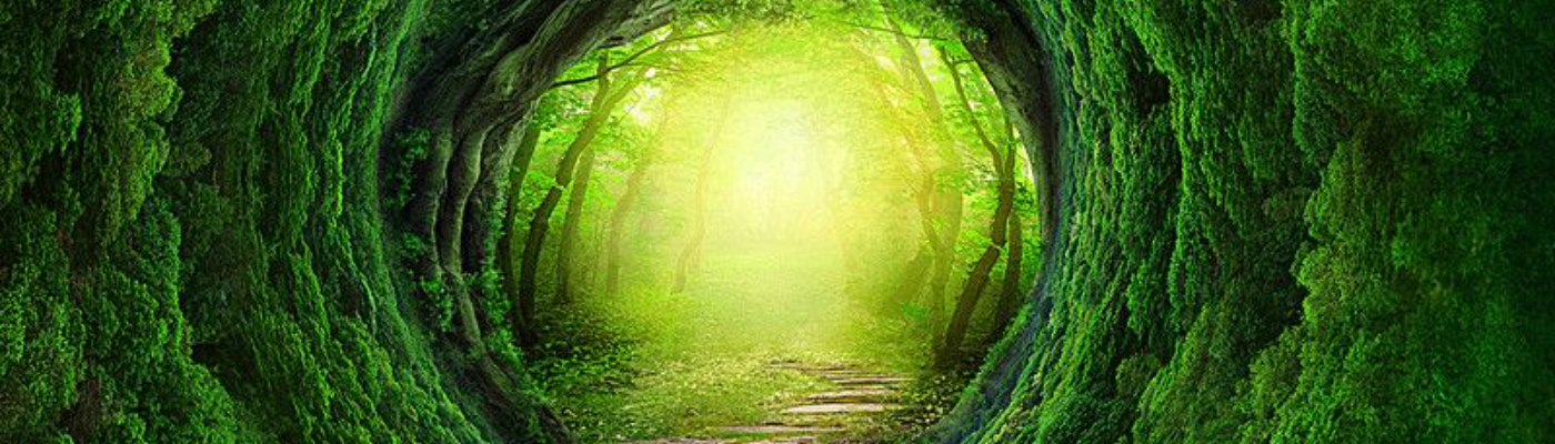 Profile banner image for ElizabethBennet