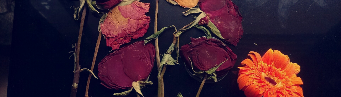 Profile banner image for SweetOblivion