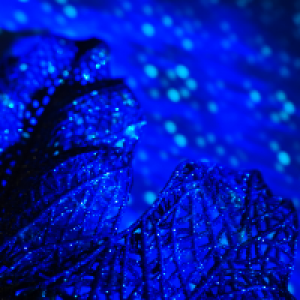 Profile avatar image for HHF