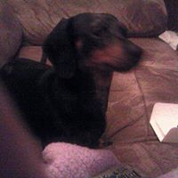 Profile avatar image for ReneeHand