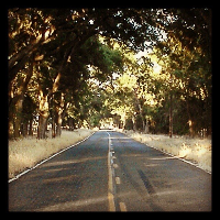 Profile avatar image for Sydneyahava