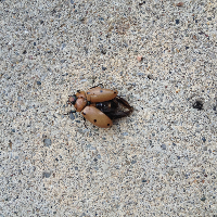 Profile avatar image for Transitions