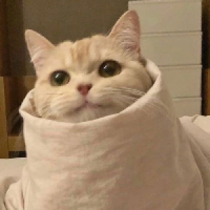 Profile avatar image for pickingirises