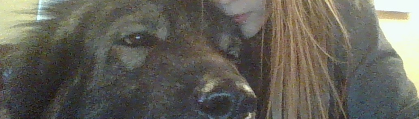 Profile banner image for WillowStar