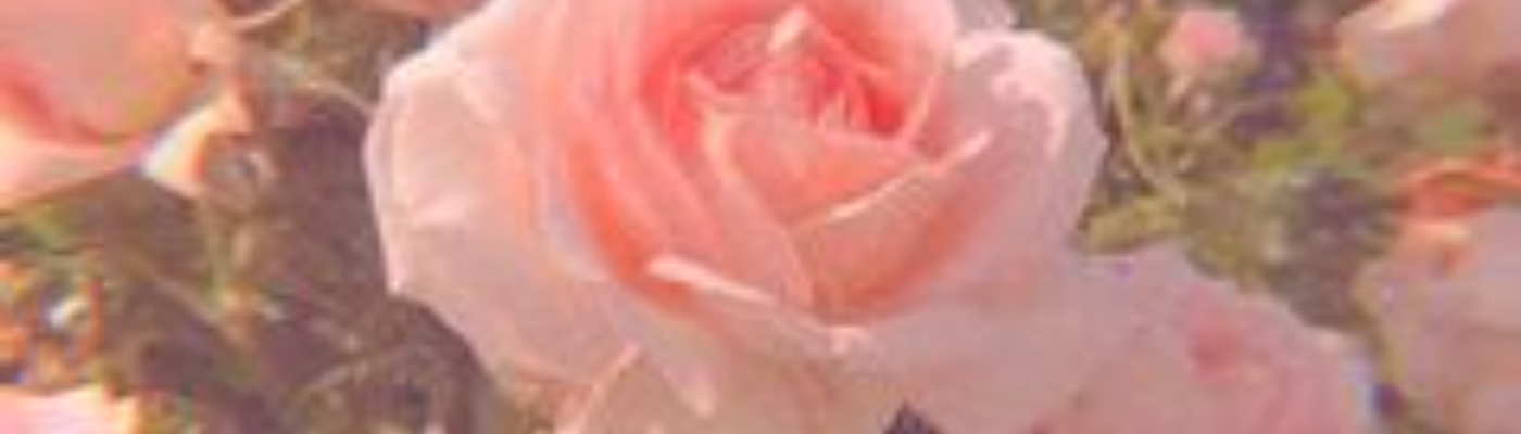 Profile banner image for peachxeeks