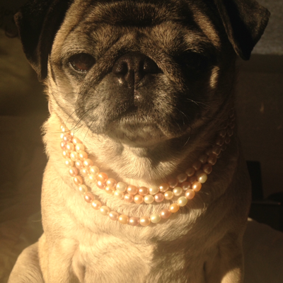 Profile avatar image for AmyAnsel