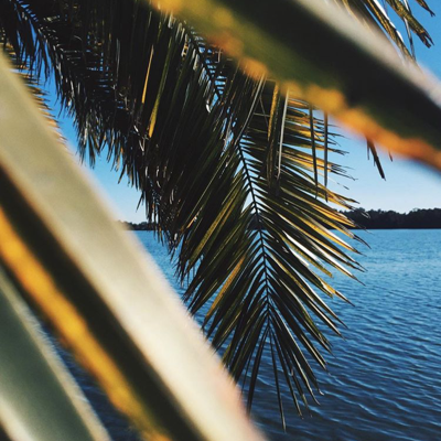 Profile avatar image for melindaivory