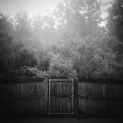 Profile avatar image for WinterBlooms