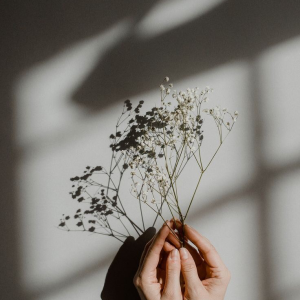 Profile avatar image for Pitch_Black