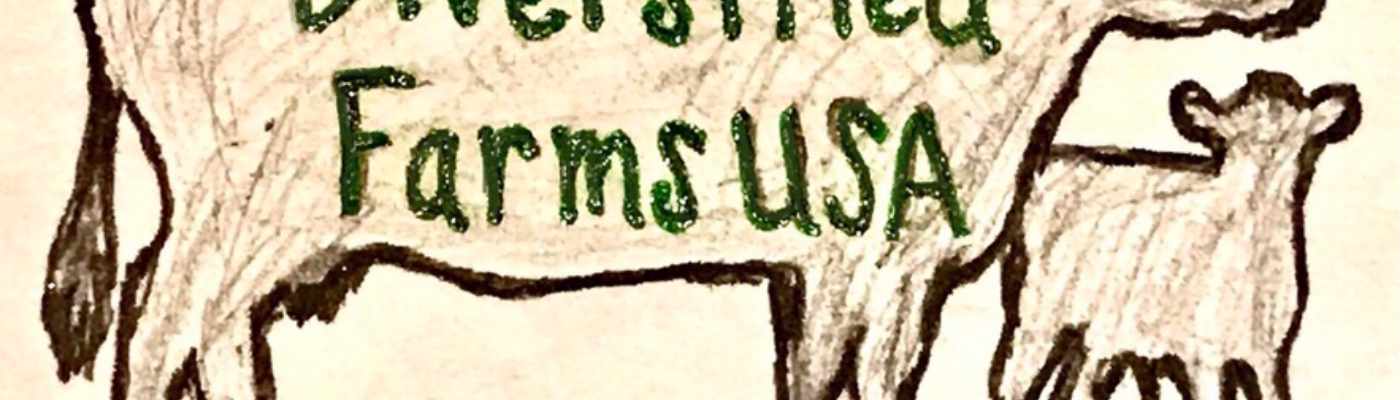 Profile banner image for WillT2021