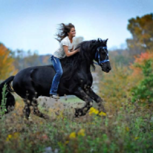 Profile avatar image for Luna2345