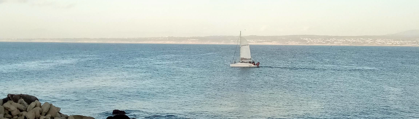 Profile banner image for ProseWordLit