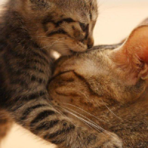 Profile avatar image for ProseWordLit