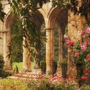 Profile avatar image for elrae