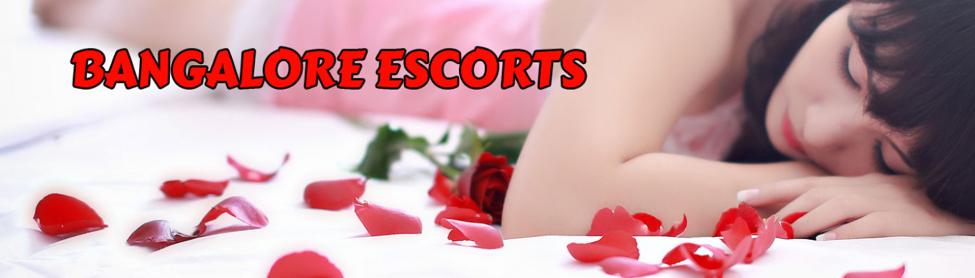 Profile banner image for codella