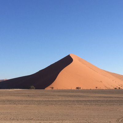 Profile avatar image for tibetancloud