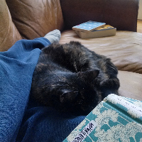 Profile avatar image for PhoenixEAlex_