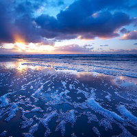 Profile avatar image for AshleyHayn