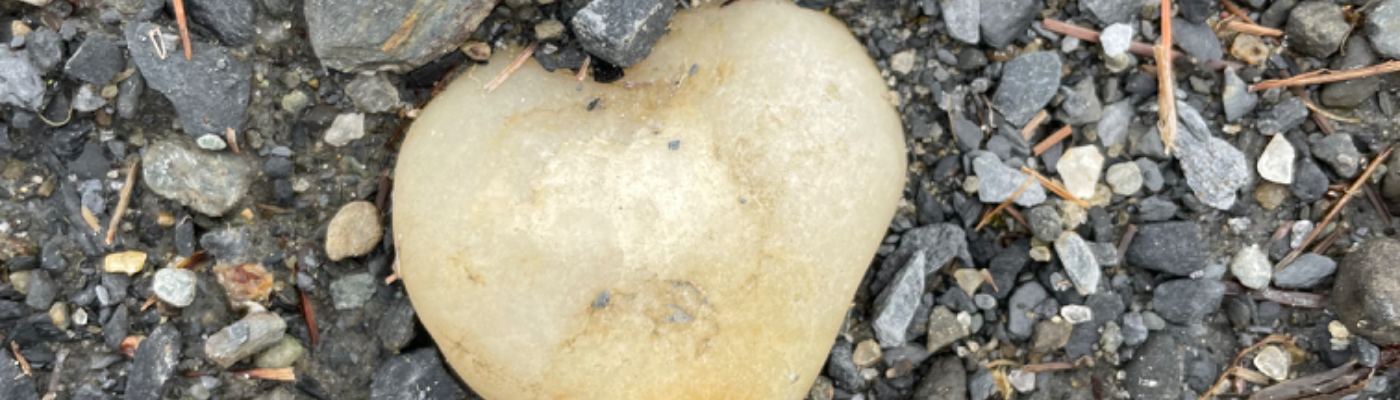 Profile banner image for VT_Poetess