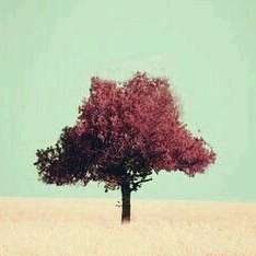 Profile avatar image for CatelynMarcia