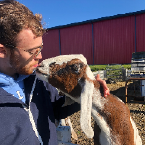 Profile avatar image for Dumb_Thoughts