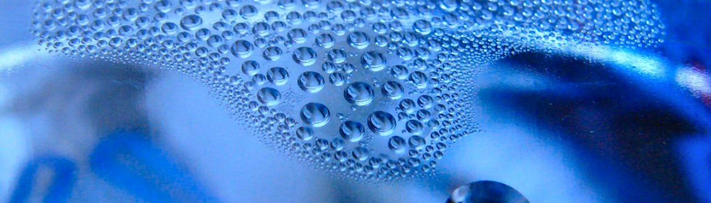 Profile banner image for Wolvensense