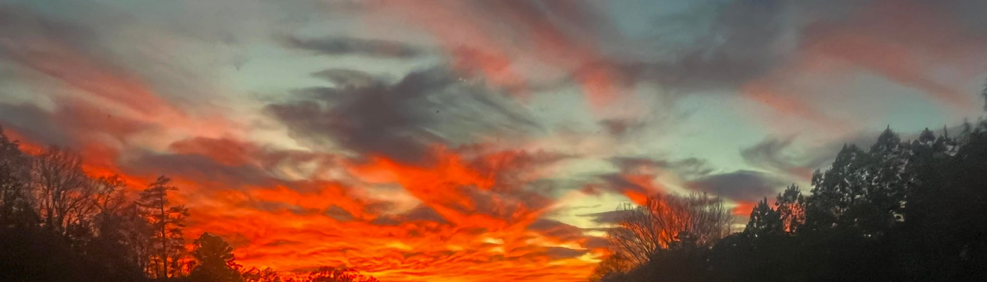 Profile banner image for SarahHopeAmmons