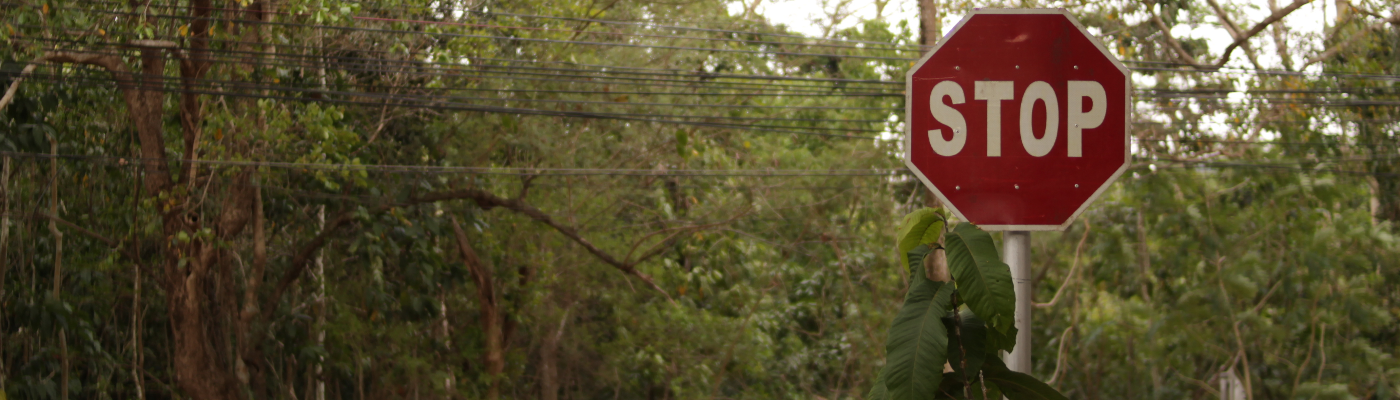 Profile banner image for lumalaya